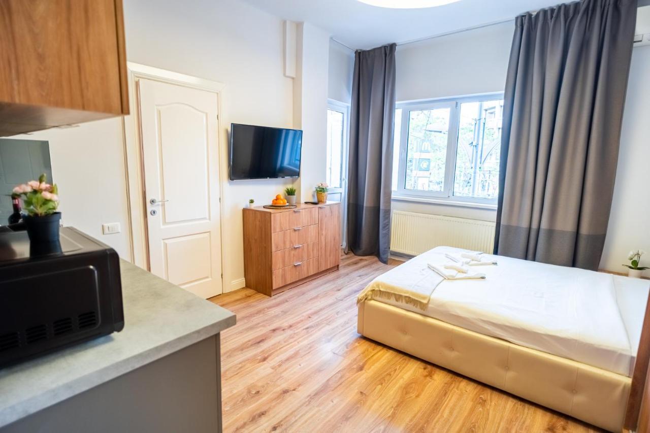 Cozy Apartments Near Calea Victoriei Бухарест Экстерьер фото