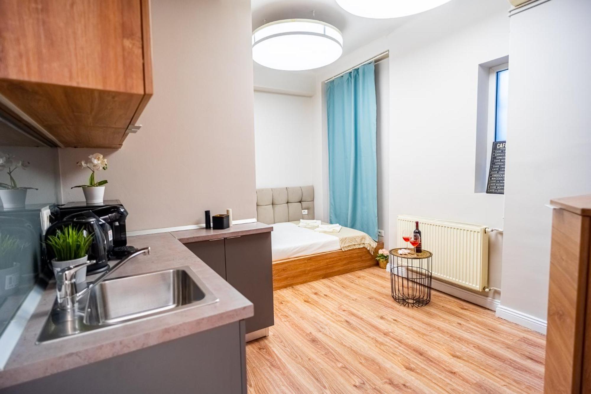 Cozy Apartments Near Calea Victoriei Бухарест Экстерьер фото